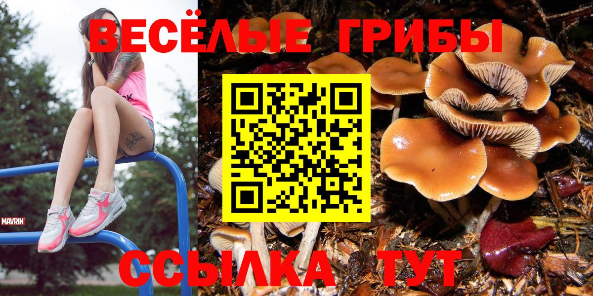Псилоцибиновые грибы GOLDEN TEACHER  Галлюциногенные грибы мицелий  Вход с VPN  Подольск 