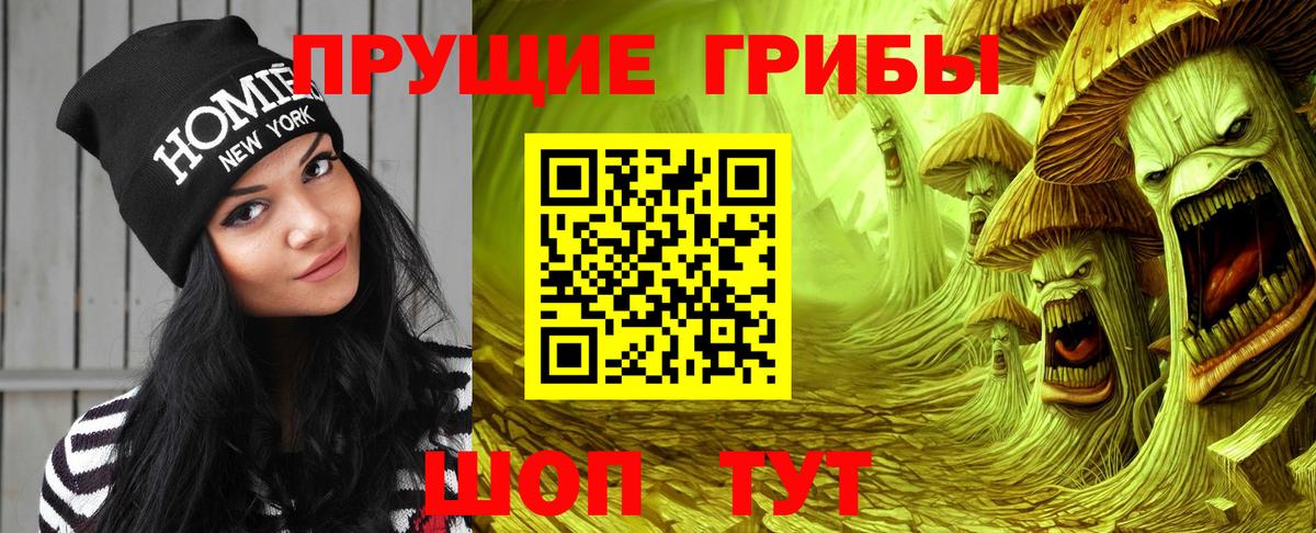 Псилоцибиновые грибы GOLDEN TEACHER Подольск